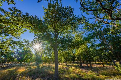 28 Ruger Road Fredericksburg TX 78624