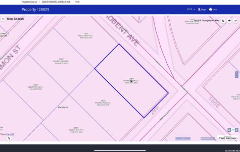 207 Rodriguez Del Rio TX 78840
