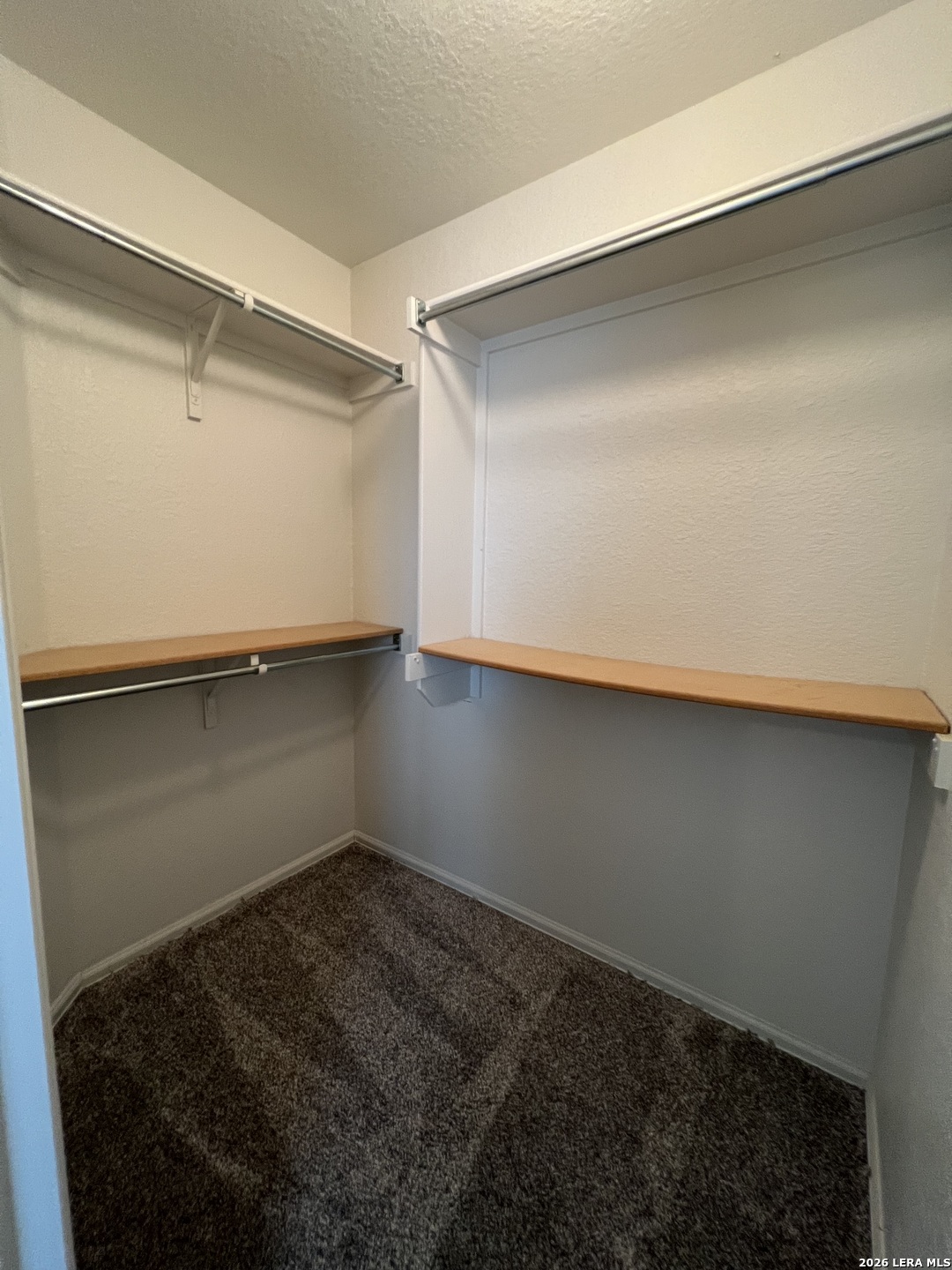 15810 Cotton Tail Lane San Antonio TX 78255