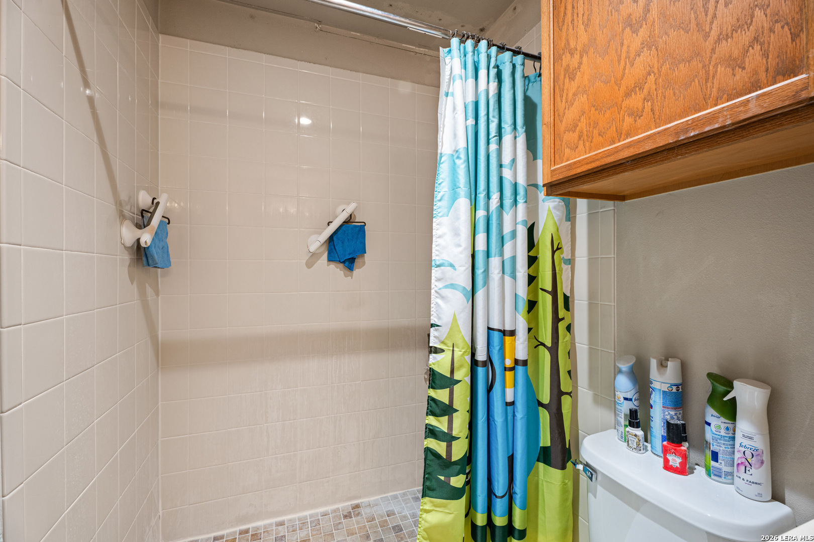 13651 Bridgeview San Antonio TX 78247