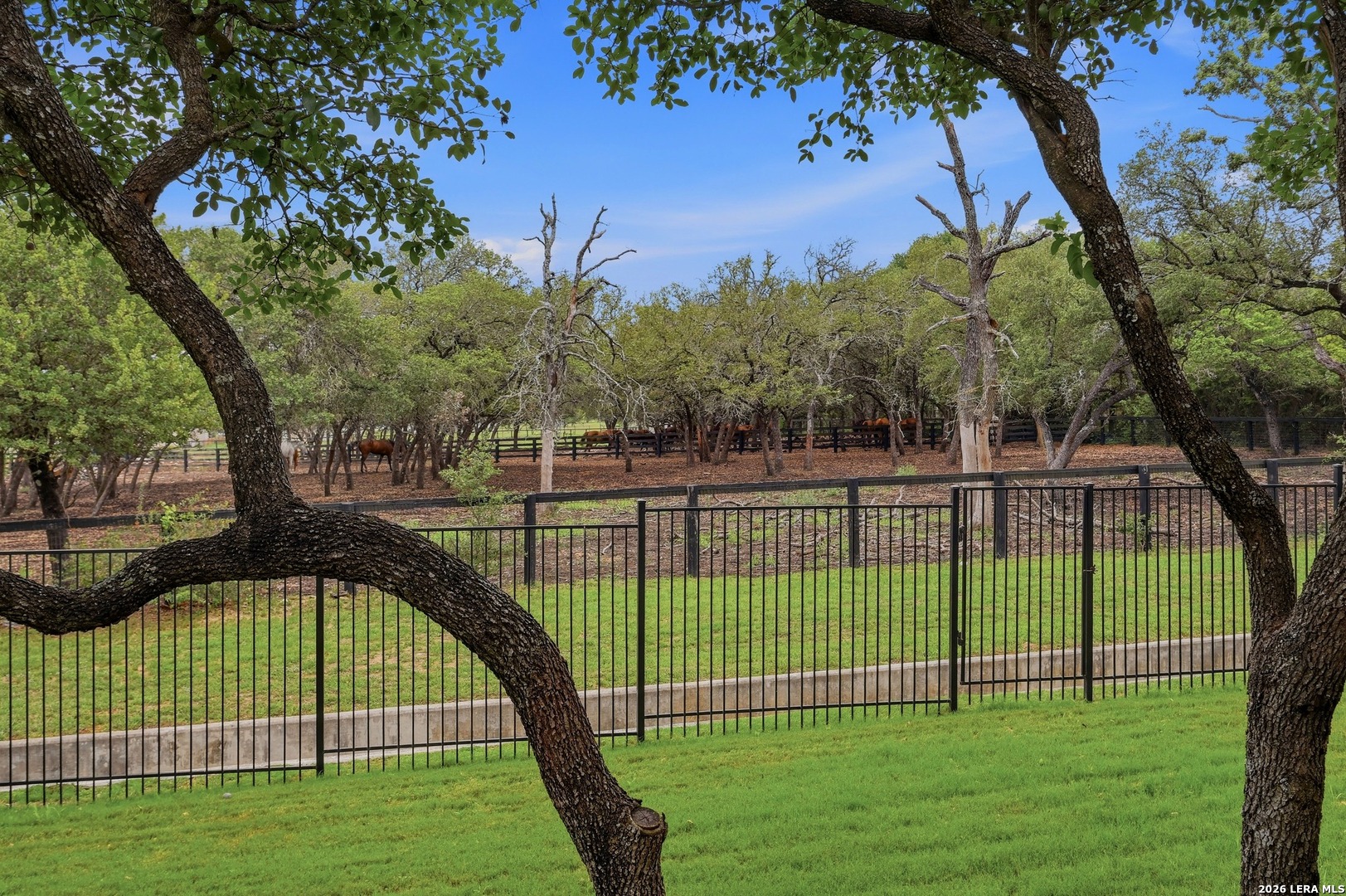 135 Wild Rose Hill Boerne TX 78006