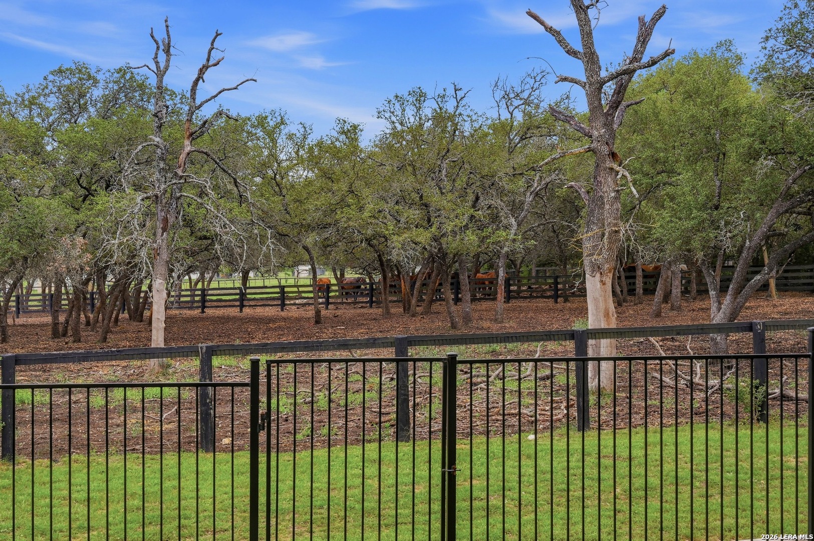 135 Wild Rose Hill Boerne TX 78006