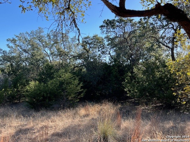 Lot 11 Winged Foot Boerne TX 78006
