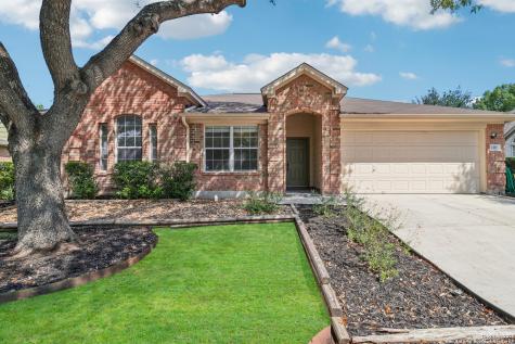 1117 Rivertree Drive New Braunfels TX 78130