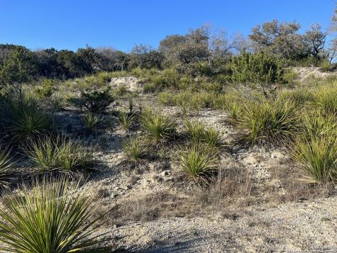 215 Palomino Springs Bandera TX 78003