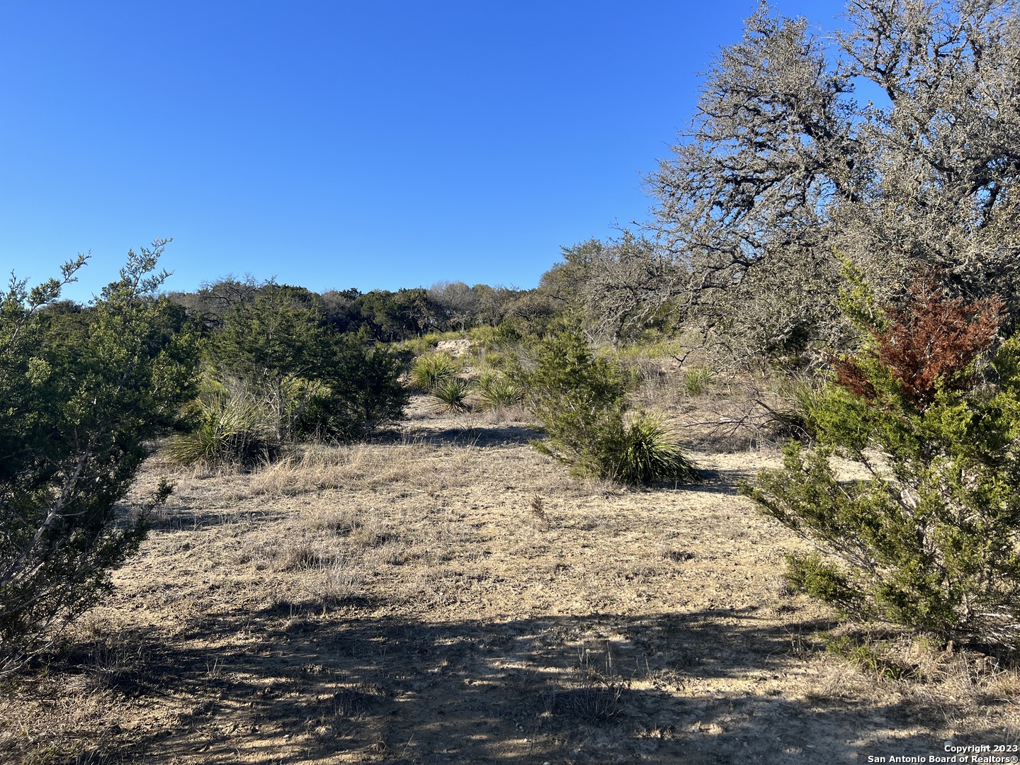 215 Palomino Springs Bandera TX 78003