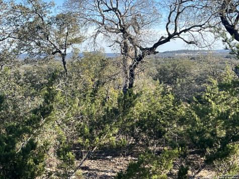 215 Palomino Springs Bandera TX 78003