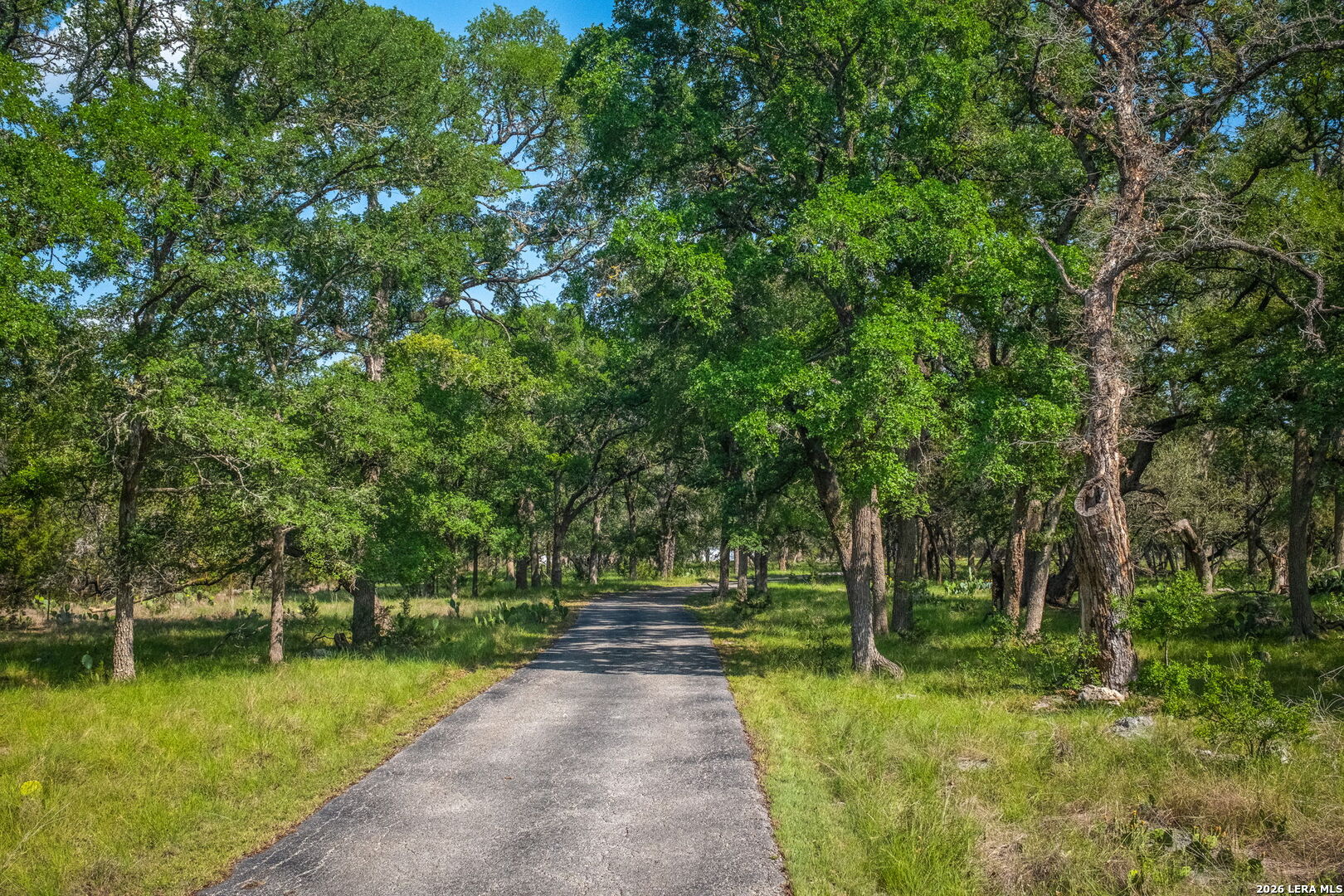 8580 Spring Branch Road Spring Branch TX 78070