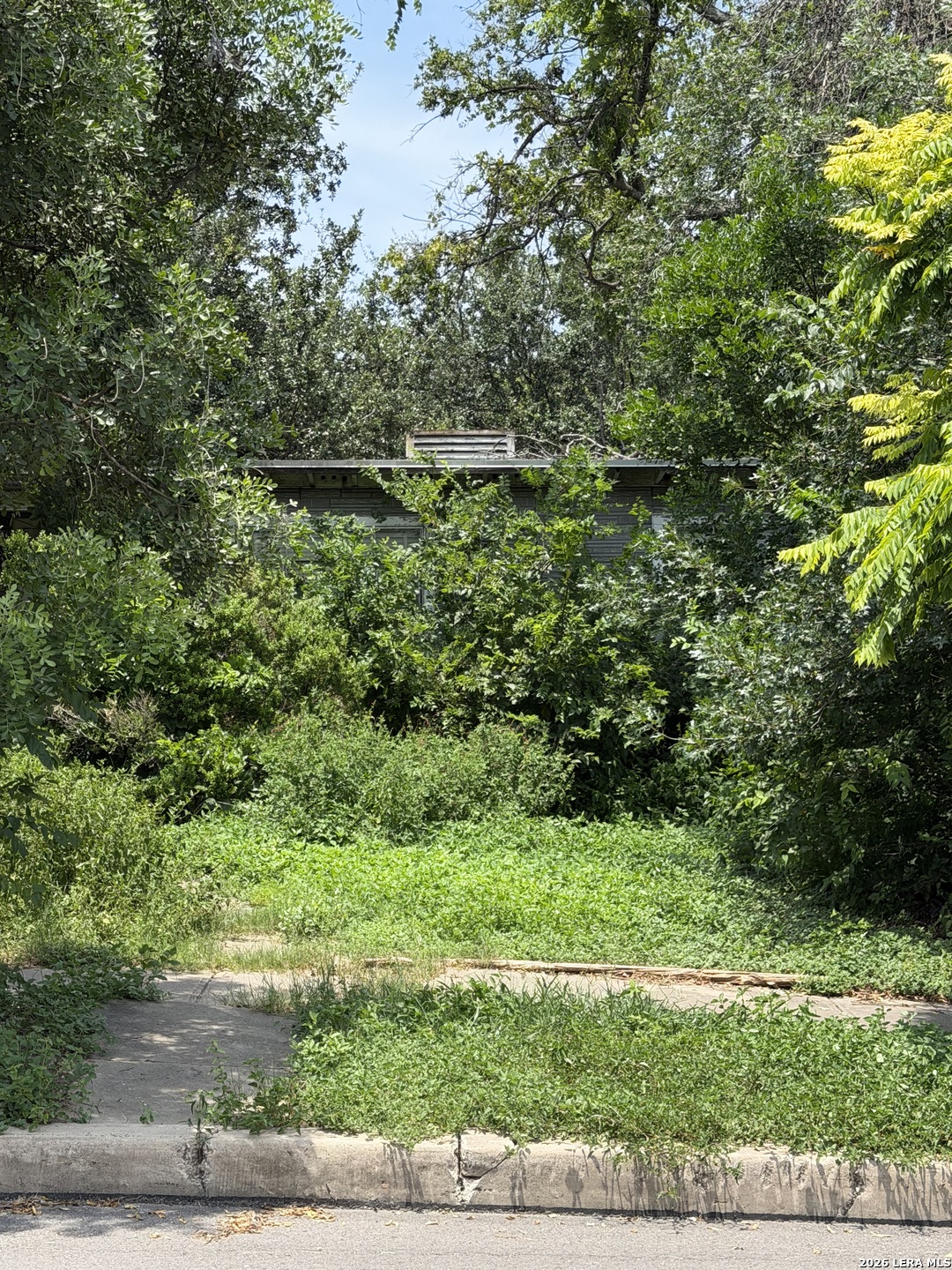 347 Freiling San Antonio TX 78213
