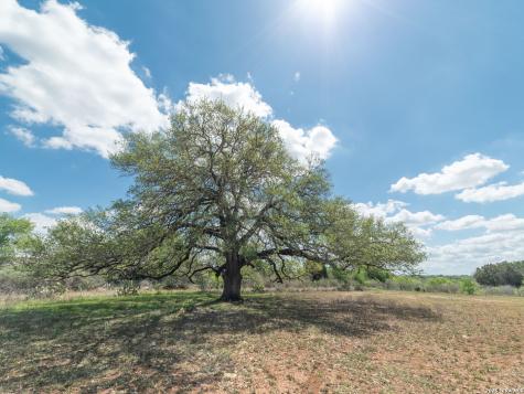 13055 Tonne Drive E New Braunfels TX 78132