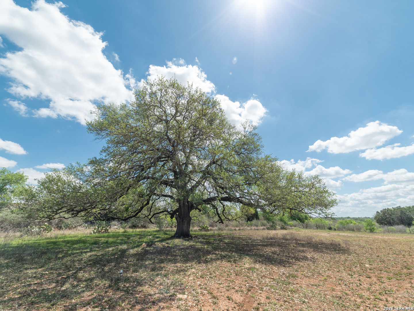 13055 Tonne Drive E New Braunfels TX 78132