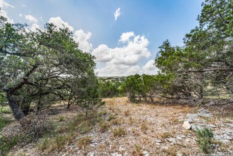 1817 Mountain Springs Canyon Lake TX 78133