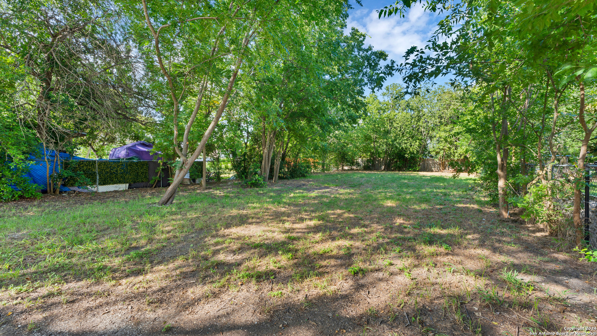 270 S Peach Avenue New Braunfels TX 78130