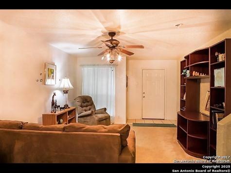 3 Brieley San Antonio TX 78250