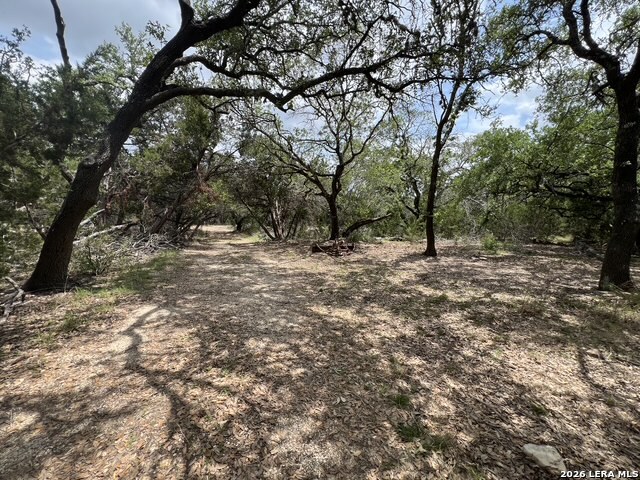 2496 Bay Hill Bulverde TX 78163