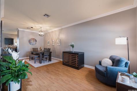 20511 View Meadow San Antonio TX 78258