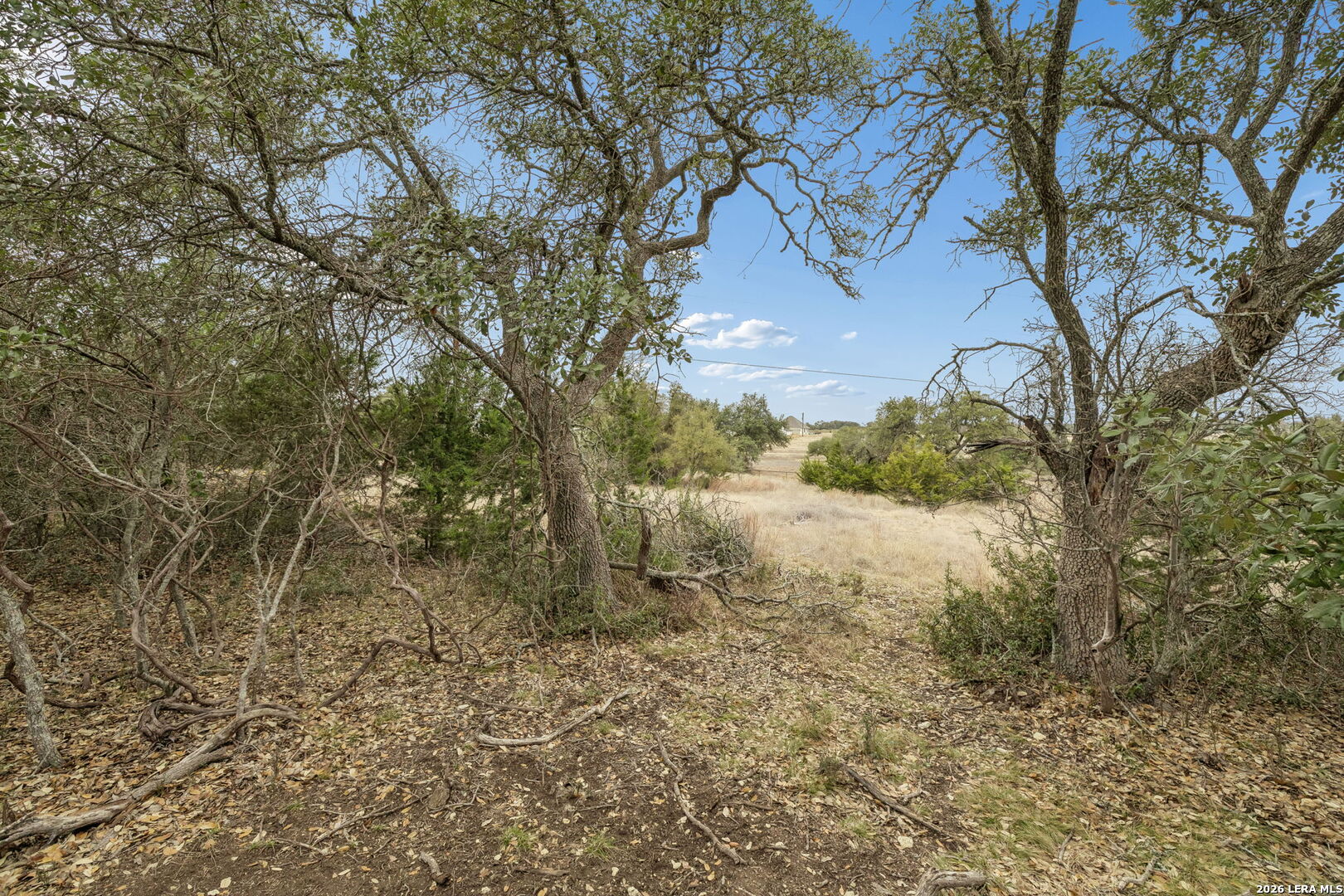 132 W Pat Dolan Blanco TX 78606