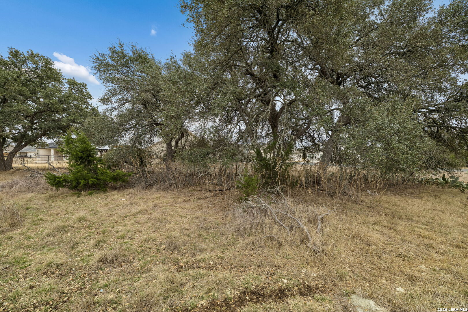 132 W Pat Dolan Blanco TX 78606