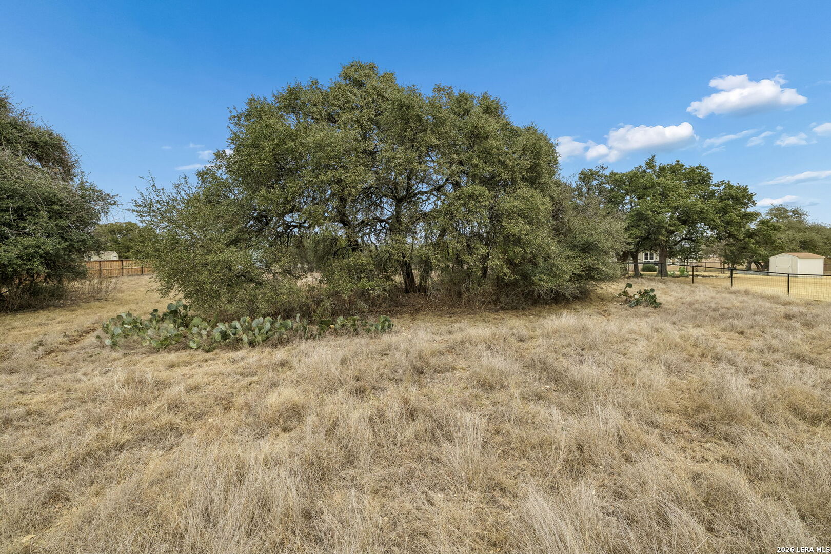 132 W Pat Dolan Blanco TX 78606