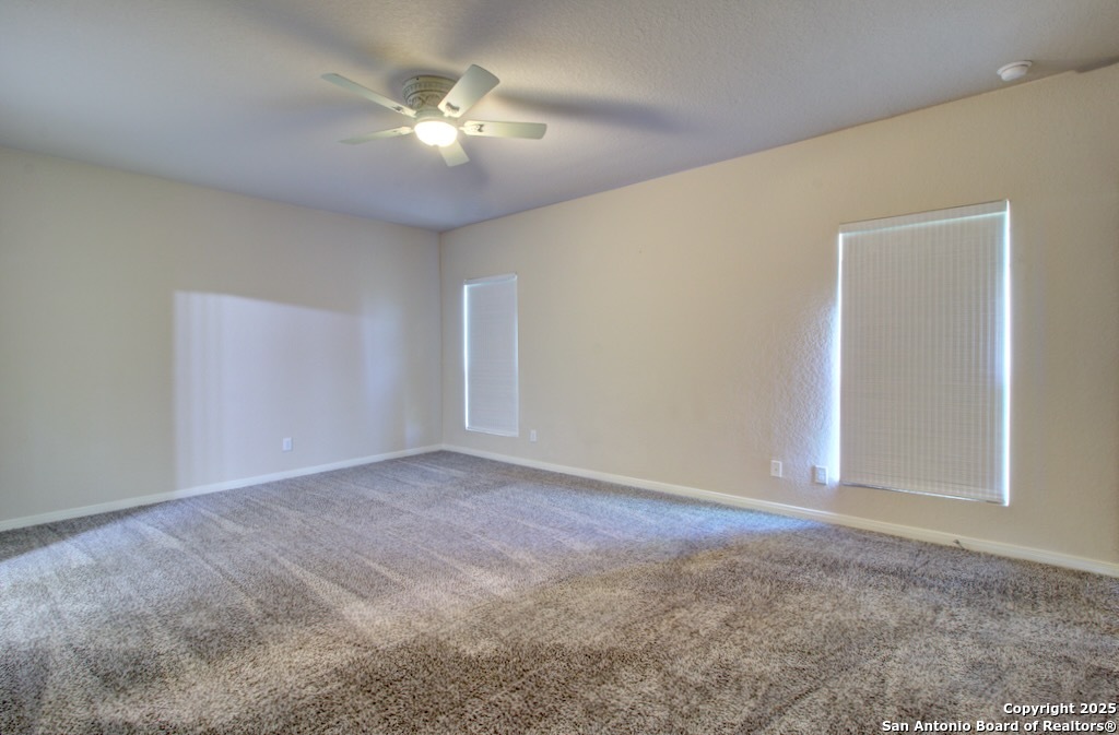317 Sika Schertz TX 78108