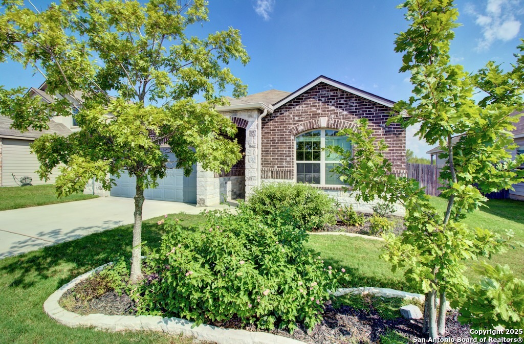 317 Sika Schertz TX 78108