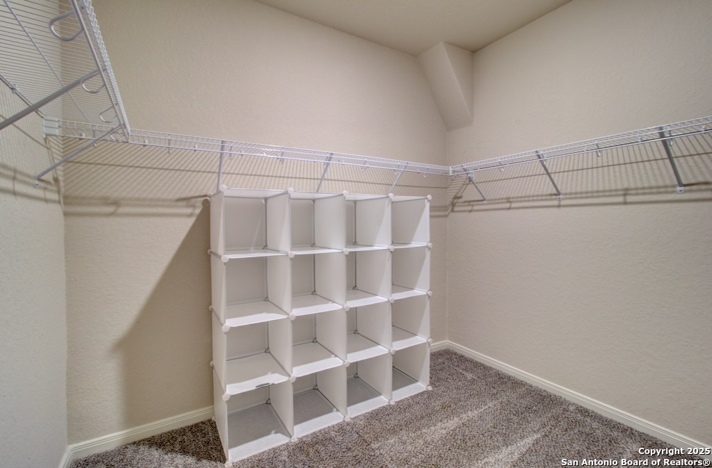 317 Sika Schertz TX 78108