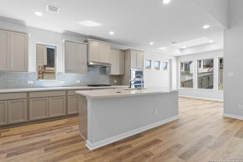 2519 Sueno Point San Antonio TX 78245
