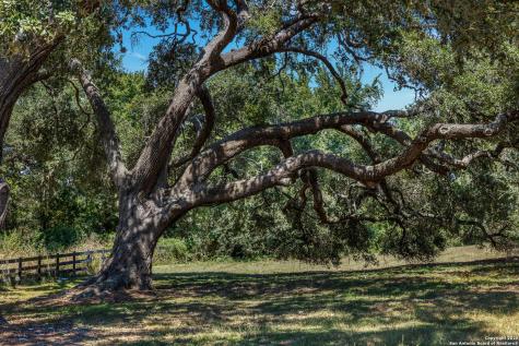 5450 Mazurek Schulenburg TX 78956