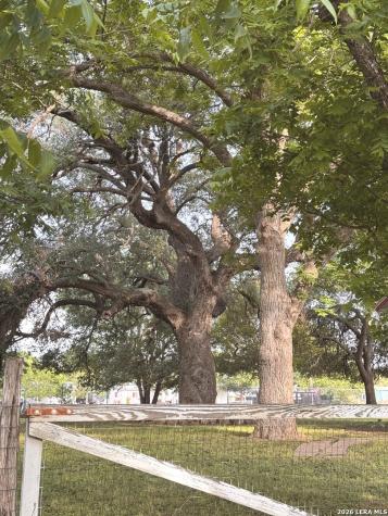265 County Road 5227 Hondo TX 78861