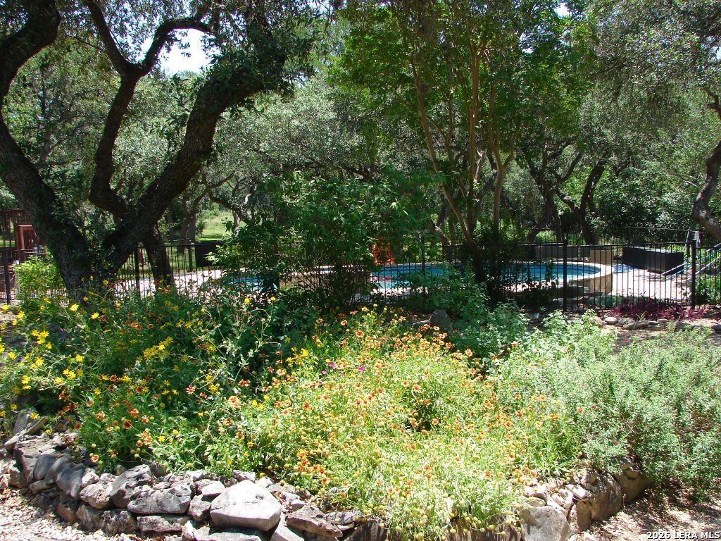 23622 Northwood San Antonio TX 78259