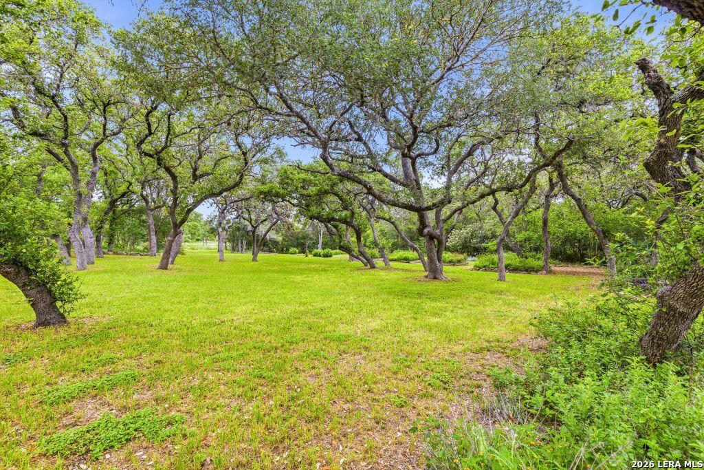 23622 Northwood San Antonio TX 78259