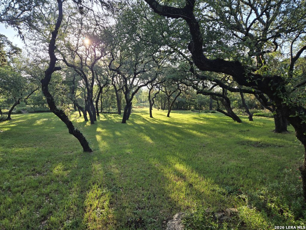 23622 Northwood San Antonio TX 78259