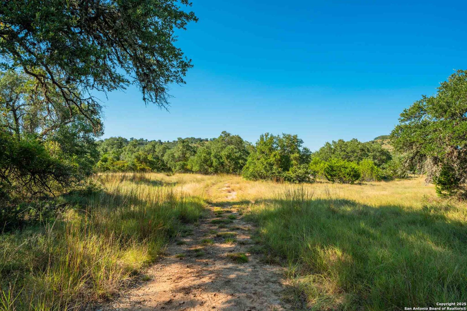 147 Gray Wolf Blanco TX 78606