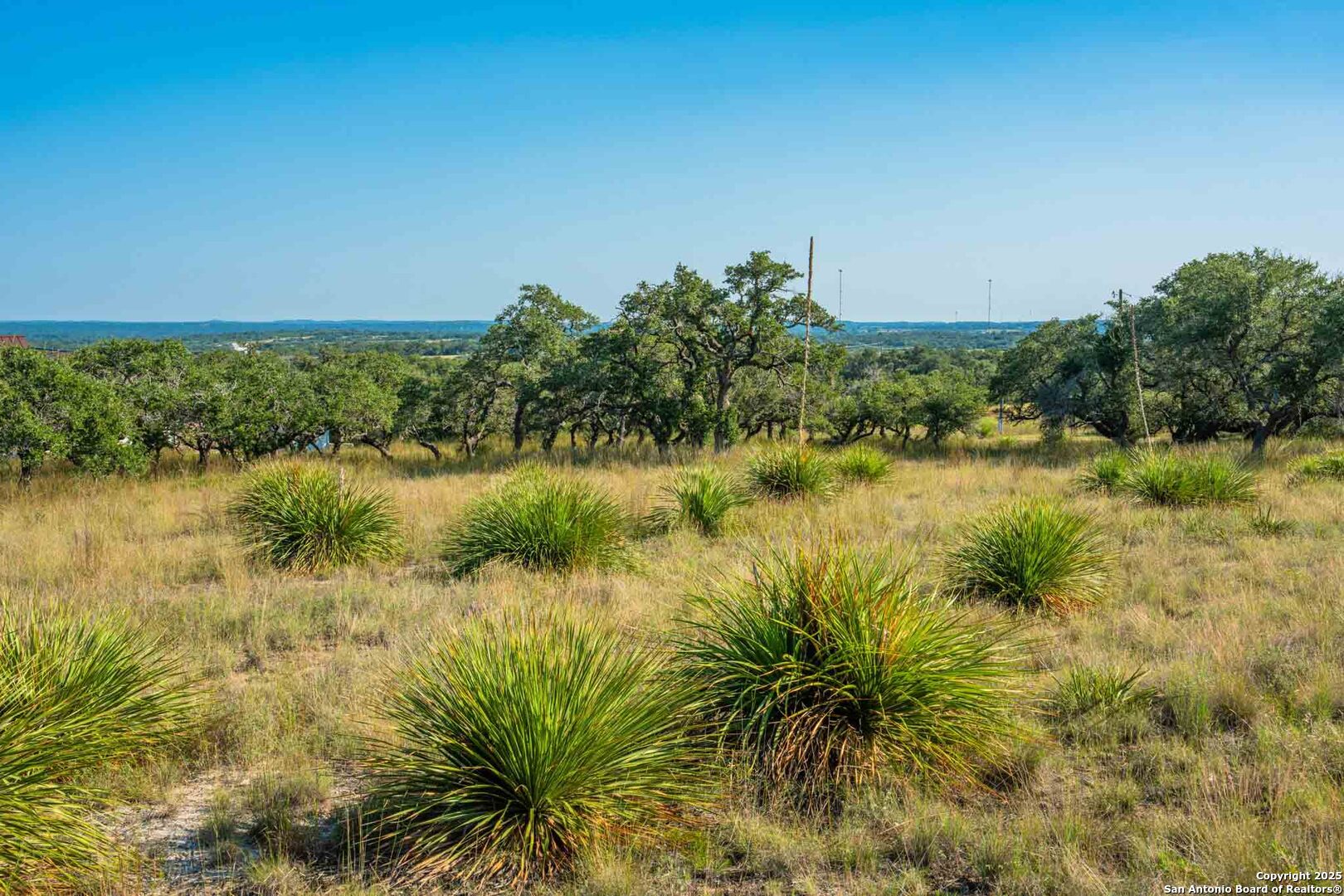 147 Gray Wolf Blanco TX 78606