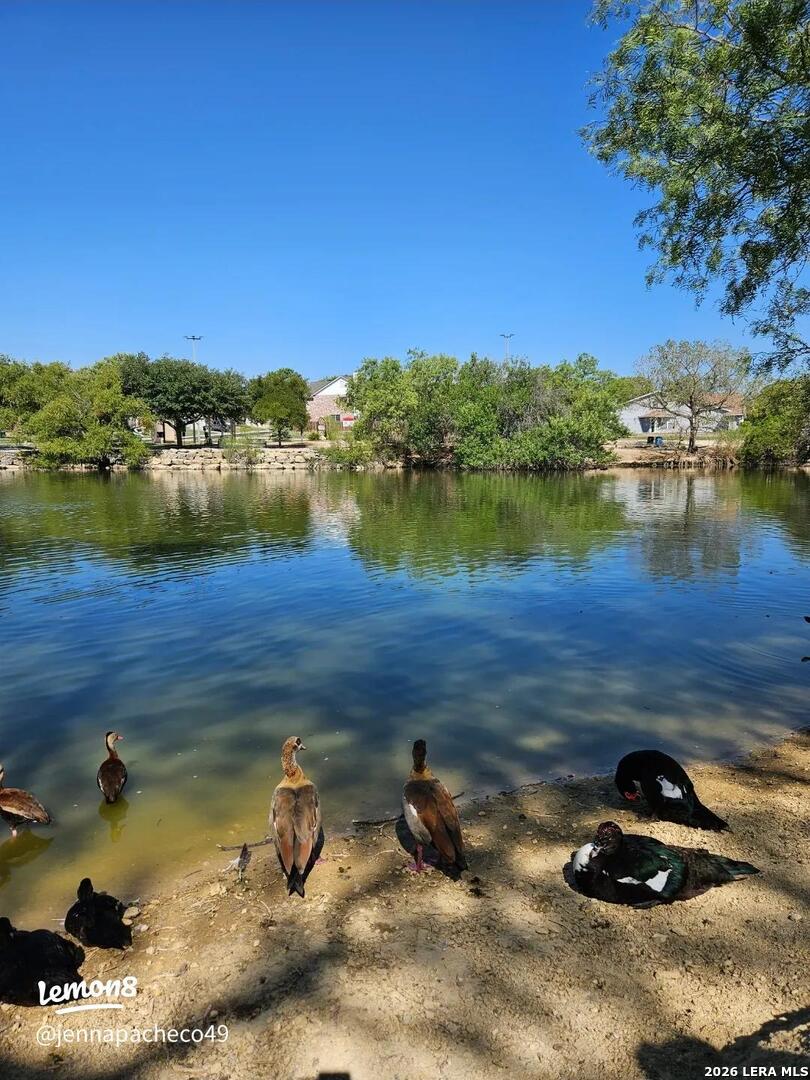 9719 Quicksilver Drive San Antonio TX 78245