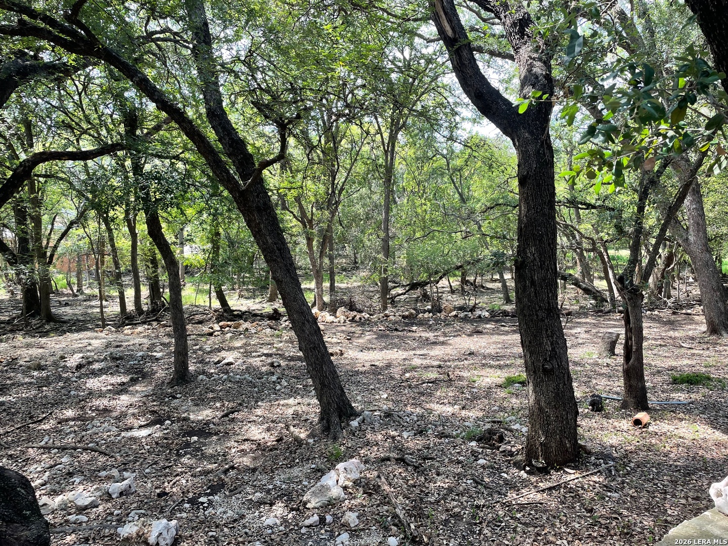 6135 Hollyhock Road San Antonio TX 78240
