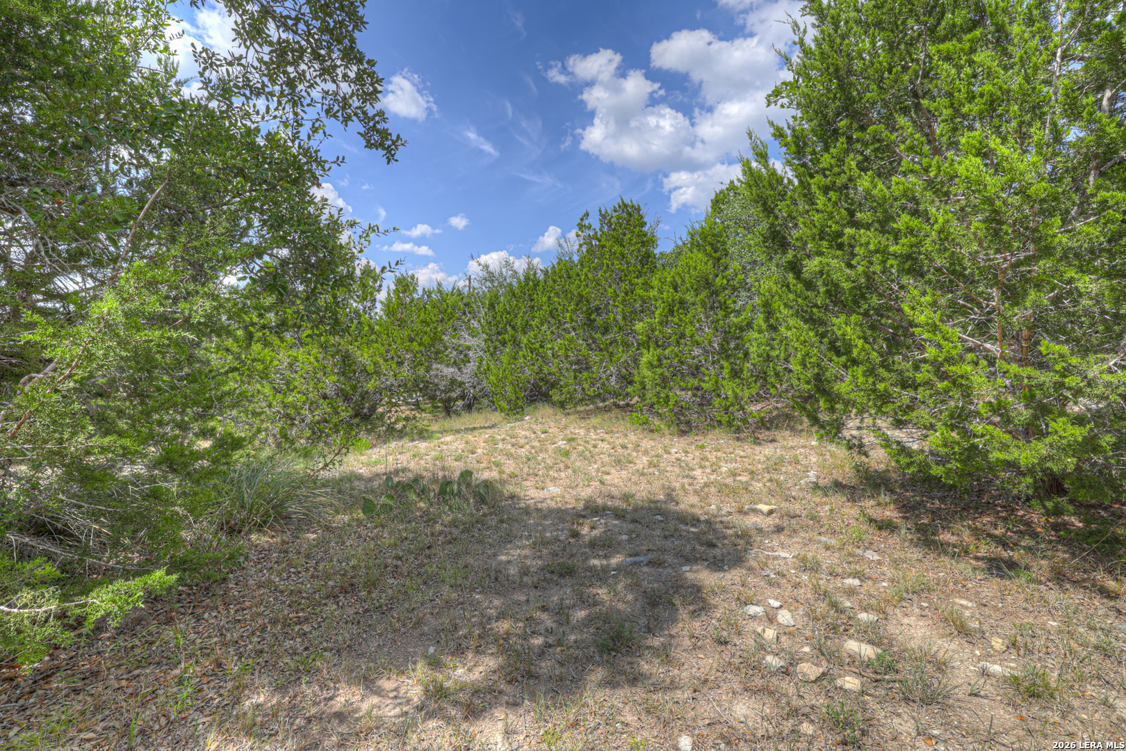 257 Berry Oaks Drive Bulverde TX 78163