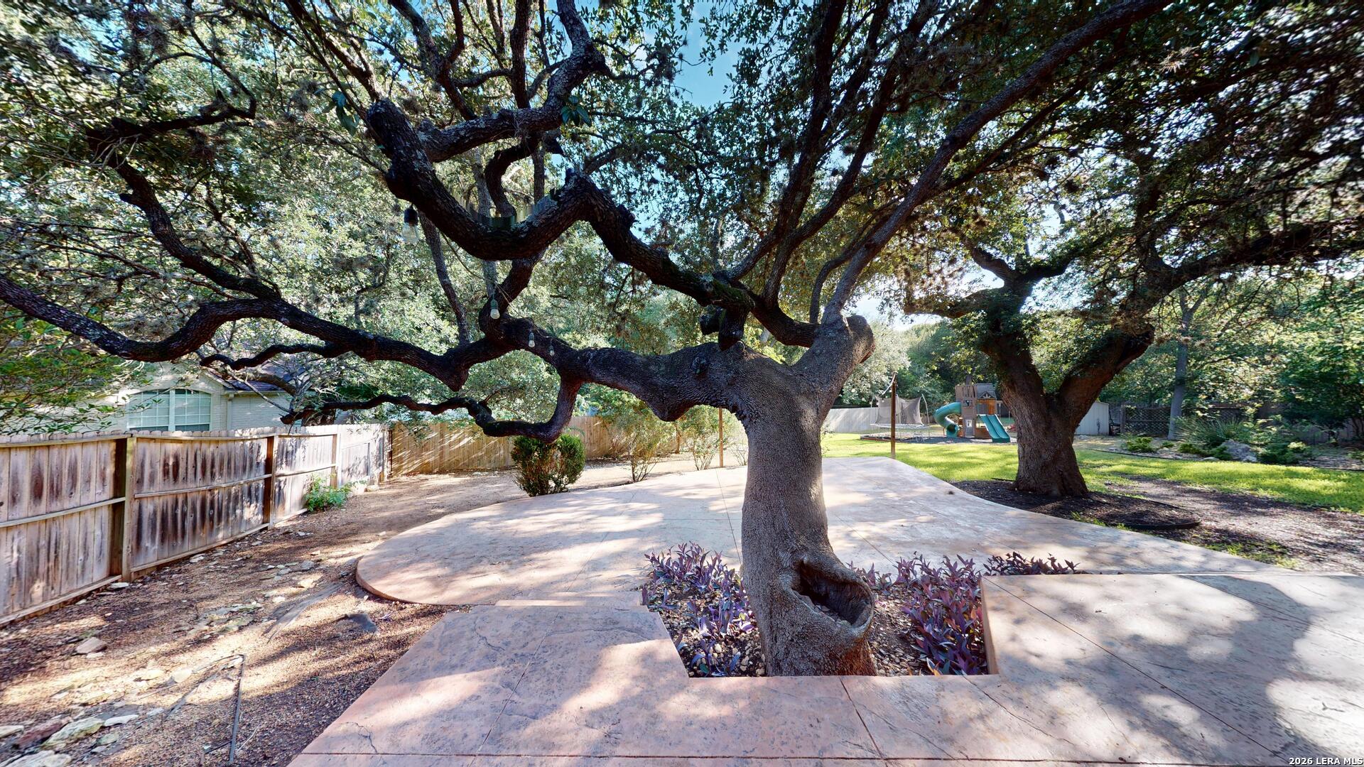 220 Nandina Court Cibolo TX 78108