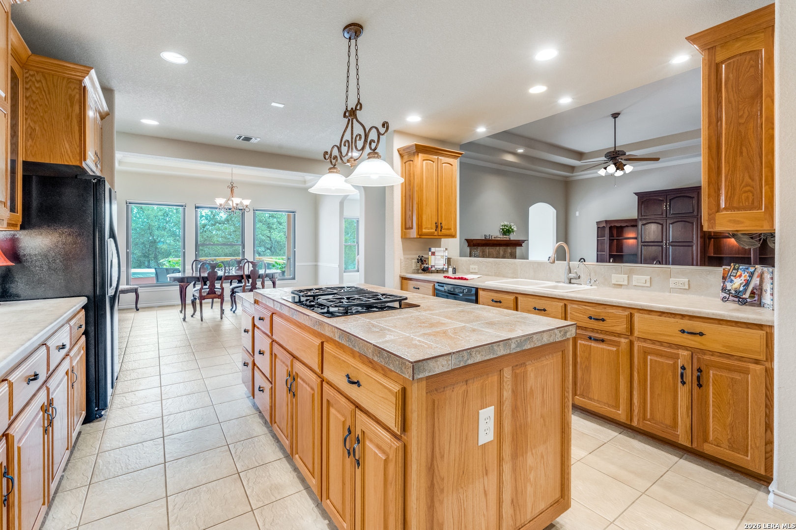 580 County Road 273 Mico TX 78056