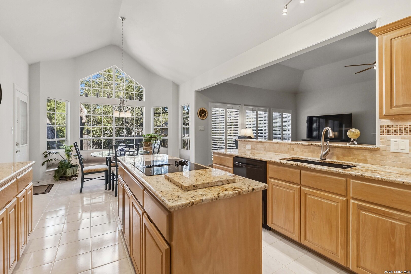 1427 Fawn Creek San Antonio TX 78248