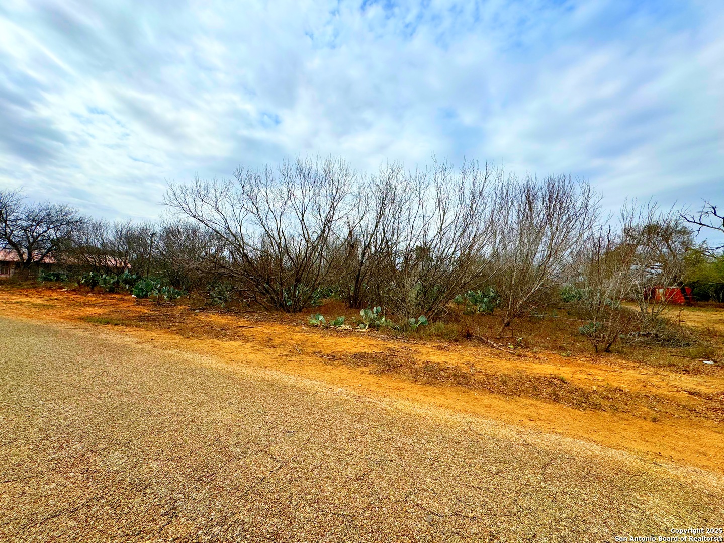 Tbd Old Highway 81 Lot 3 Moore TX 78057
