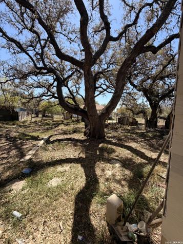 328 Primrose Poteet TX 78065