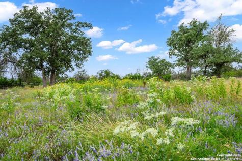 2320 Fiedler Road Harper TX 78028