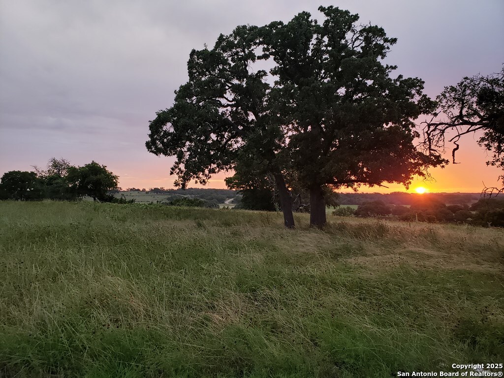 2320 Fiedler Road Harper TX 78028