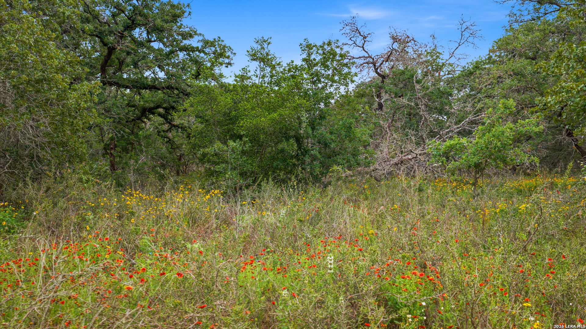 205 Sendera Crossing La Vernia TX 78121