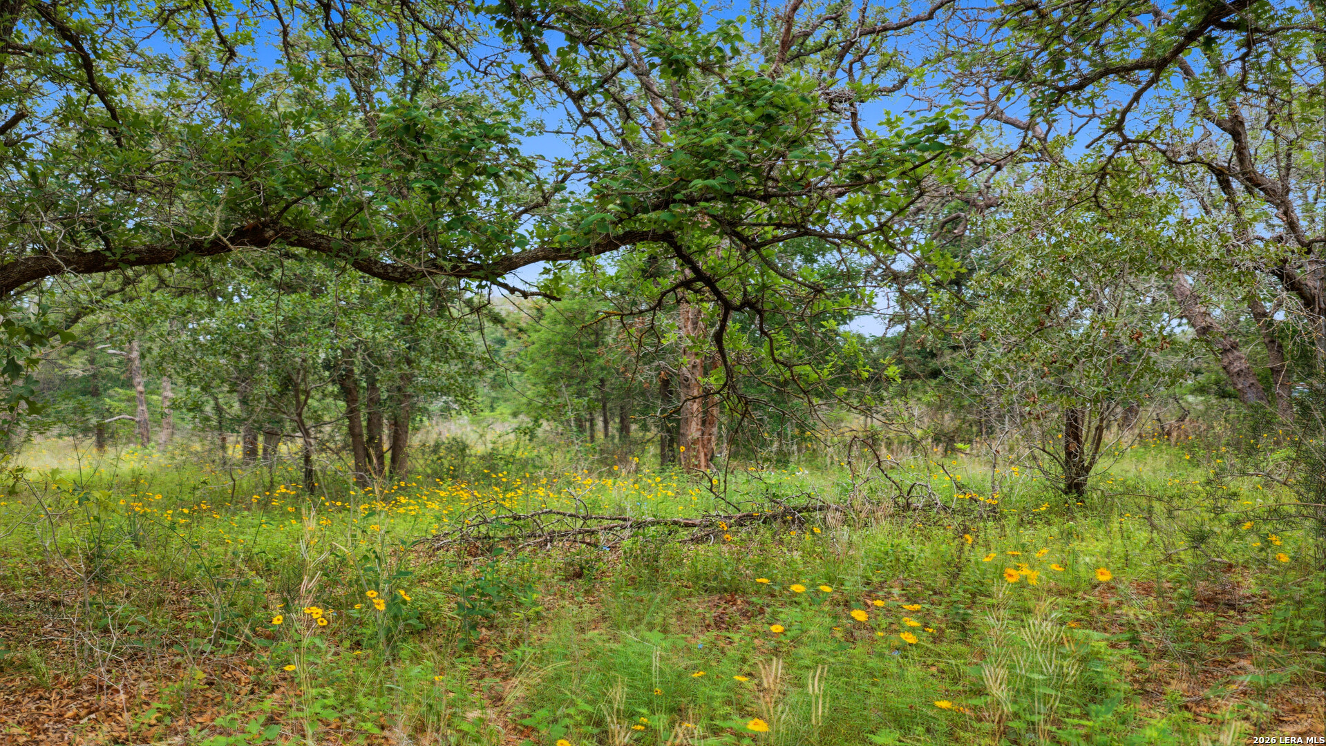 205 Sendera Crossing La Vernia TX 78121
