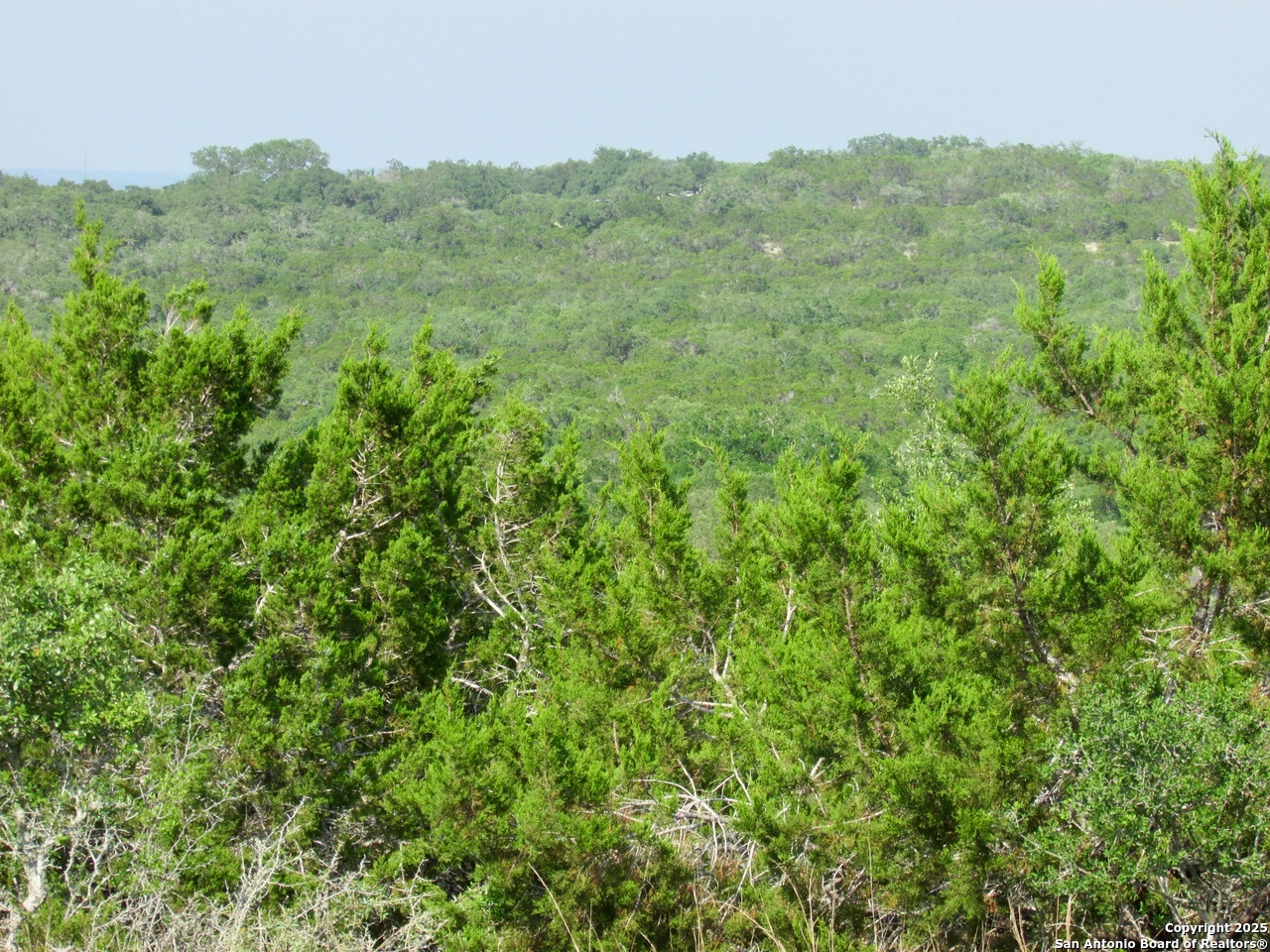 207 Lantana Hollow Boerne TX 78006