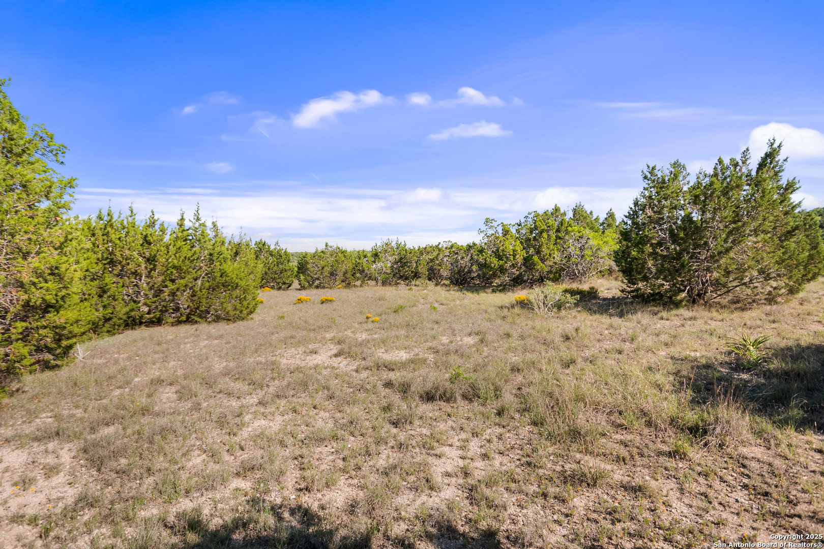 207 Lantana Hollow Boerne TX 78006