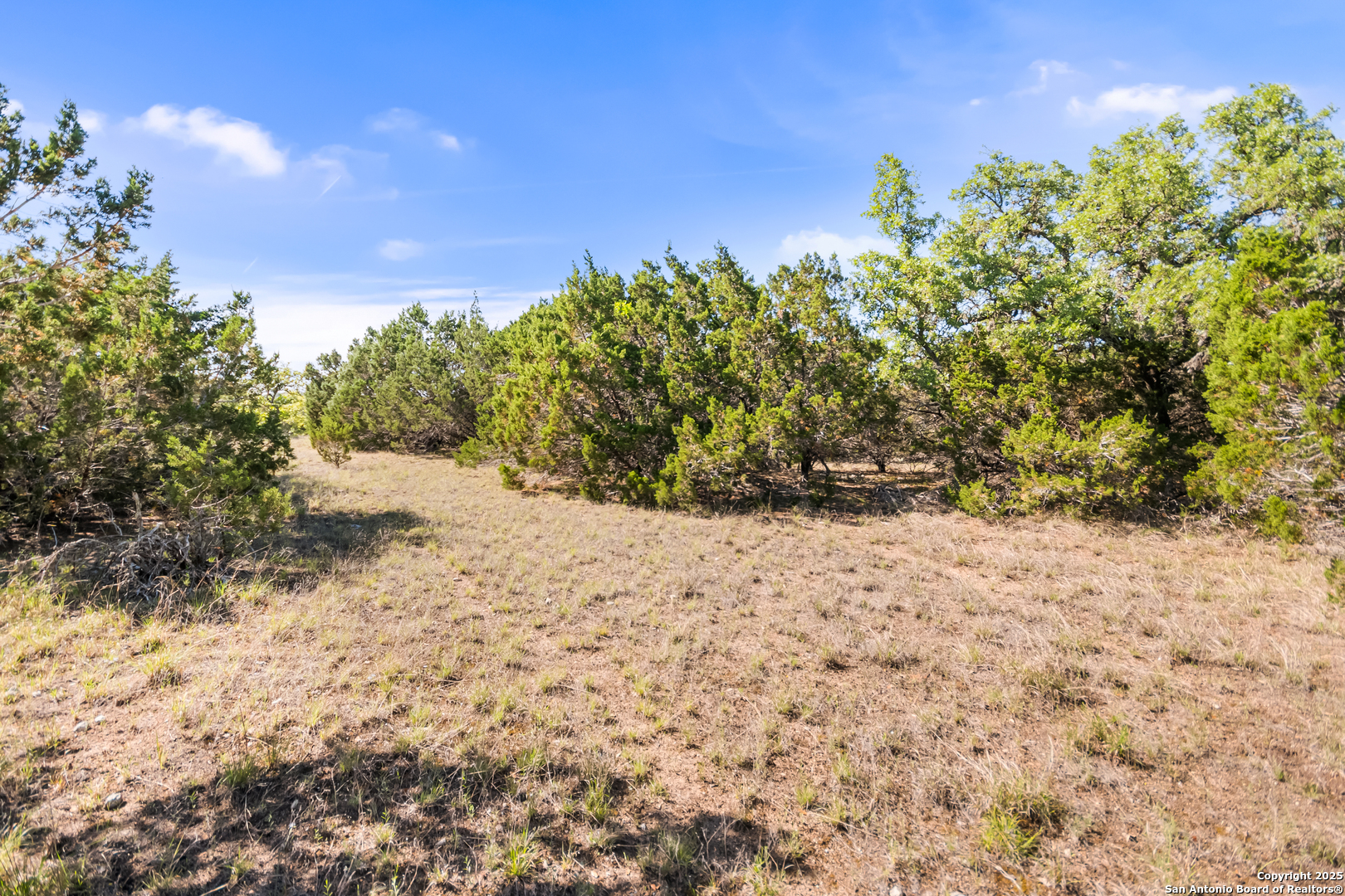 207 Lantana Hollow Boerne TX 78006