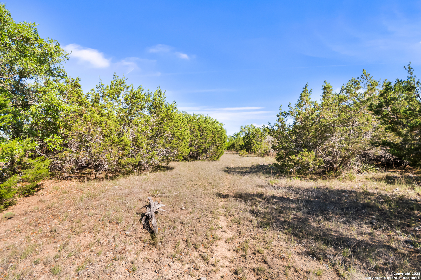 207 Lantana Hollow Boerne TX 78006